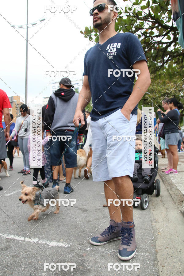 Buy your photos of the event13� C�ominhada - Santos on Fotop