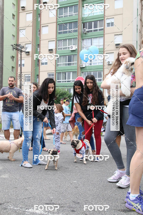 Buy your photos of the event13� C�ominhada - Santos on Fotop