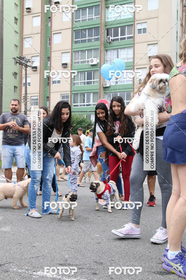 Buy your photos of the event13� C�ominhada - Santos on Fotop