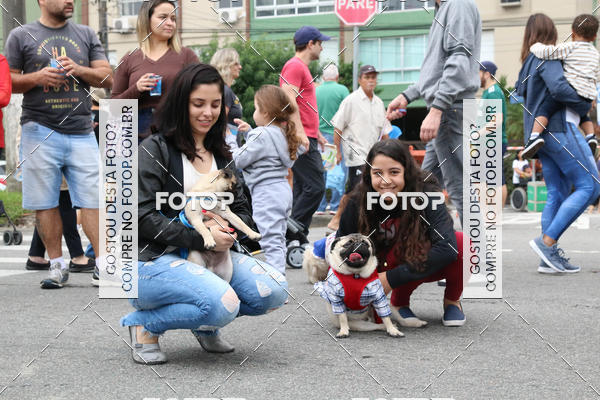 Buy your photos of the event13� C�ominhada - Santos on Fotop