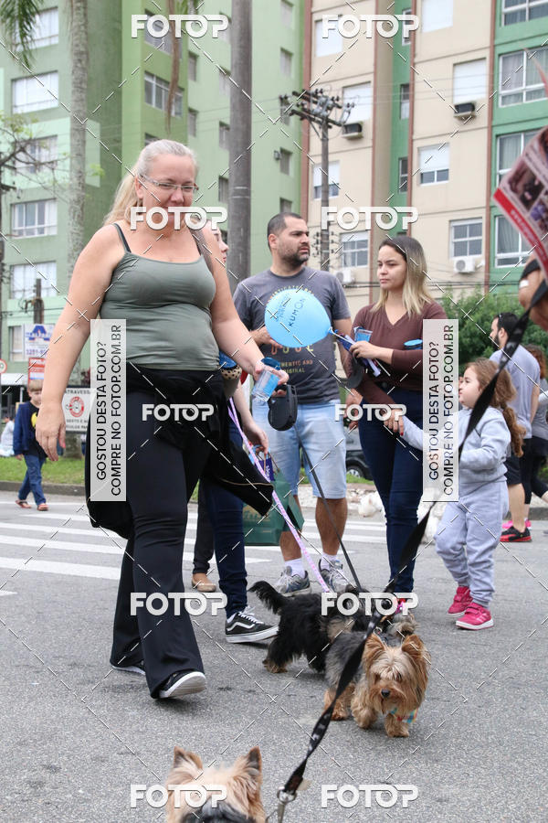 Buy your photos of the event13� C�ominhada - Santos on Fotop