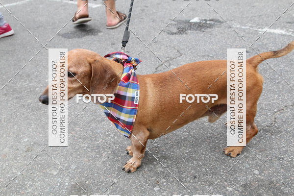 Buy your photos of the event13� C�ominhada - Santos on Fotop