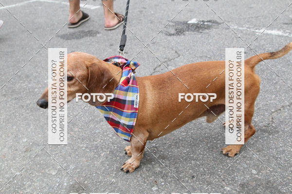 Buy your photos of the event13� C�ominhada - Santos on Fotop