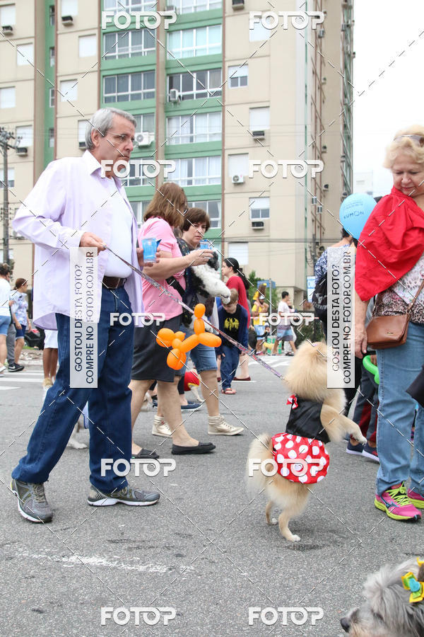 Buy your photos of the event13� C�ominhada - Santos on Fotop