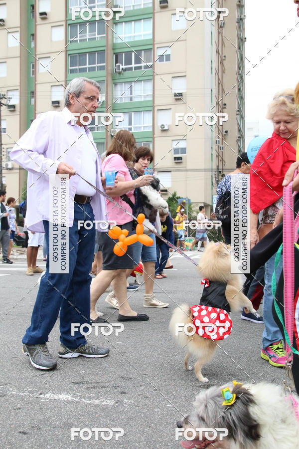 Buy your photos of the event13� C�ominhada - Santos on Fotop