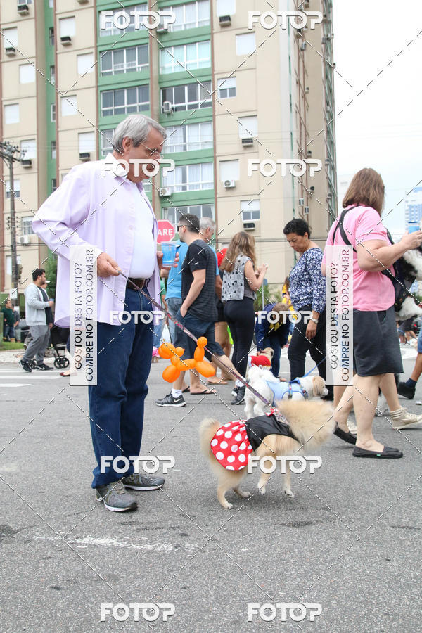 Buy your photos of the event13� C�ominhada - Santos on Fotop