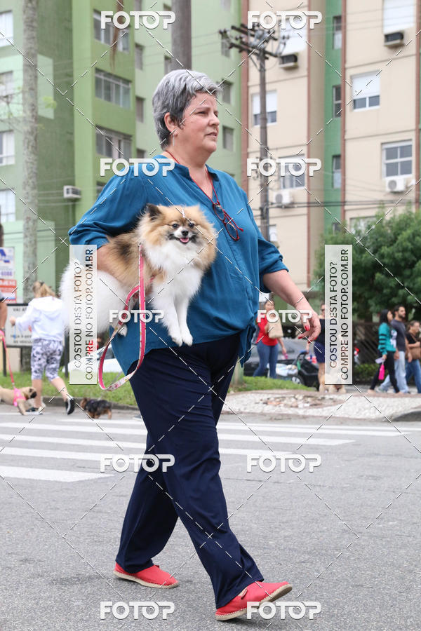 Buy your photos of the event13� C�ominhada - Santos on Fotop