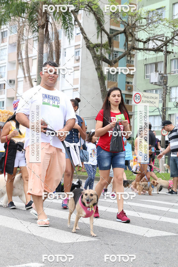 Buy your photos of the event13� C�ominhada - Santos on Fotop