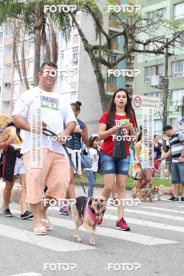 Buy your photos of the event13� C�ominhada - Santos on Fotop