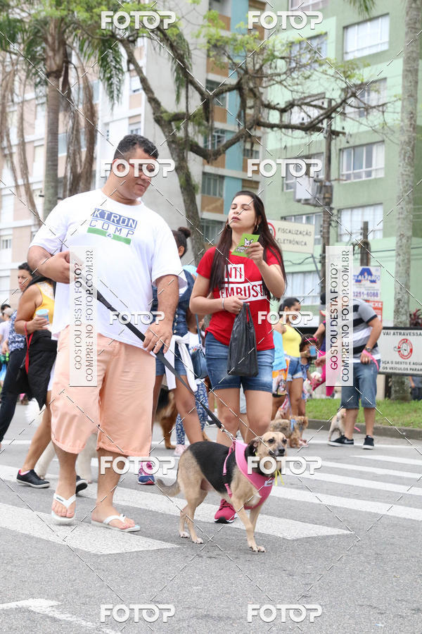 Buy your photos of the event13� C�ominhada - Santos on Fotop