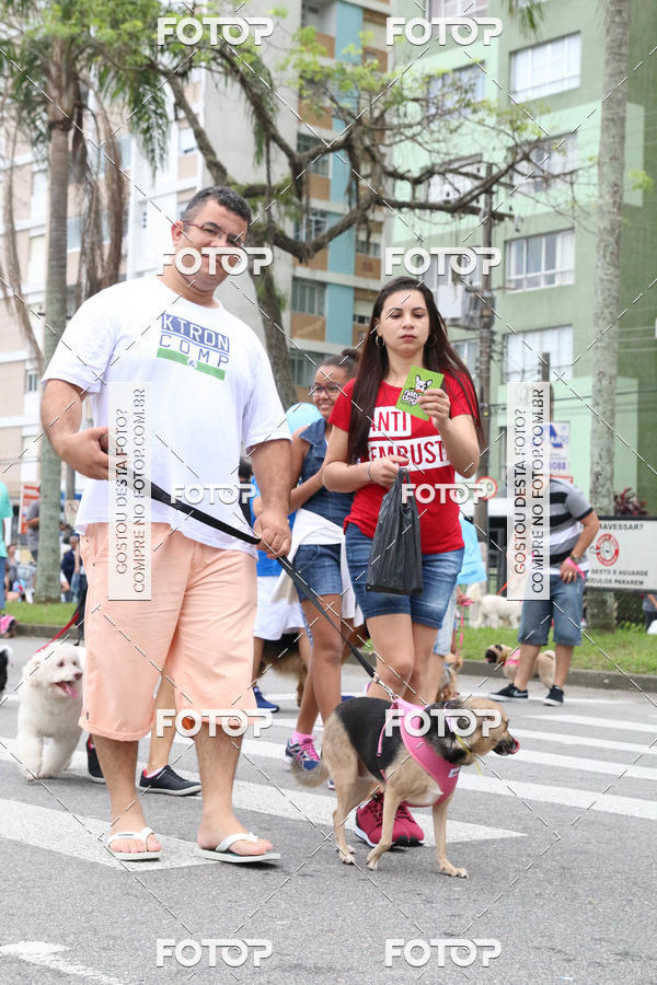 Buy your photos of the event13� C�ominhada - Santos on Fotop