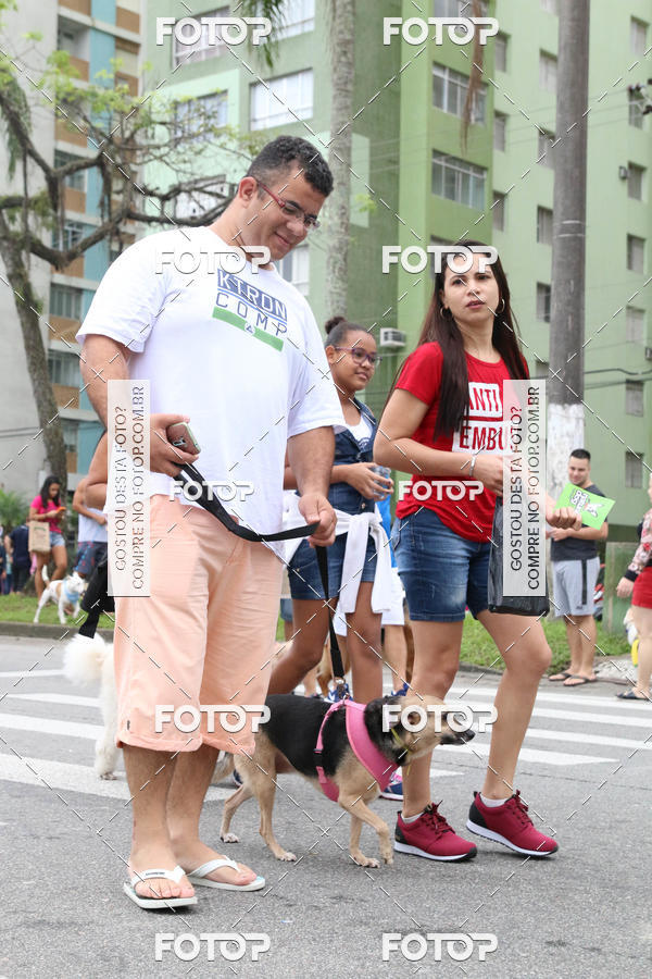 Buy your photos of the event13� C�ominhada - Santos on Fotop