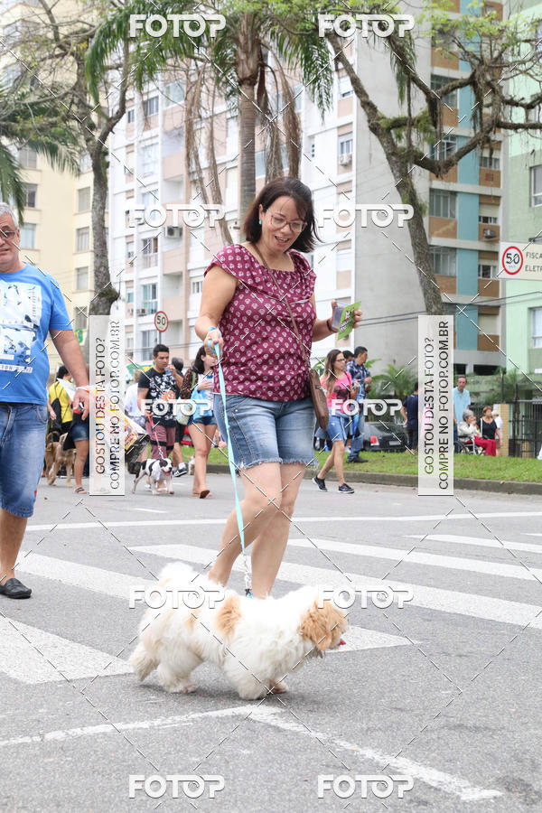 Buy your photos of the event13� C�ominhada - Santos on Fotop