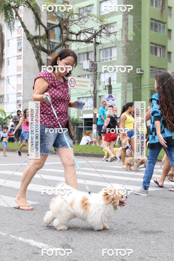 Buy your photos of the event13� C�ominhada - Santos on Fotop
