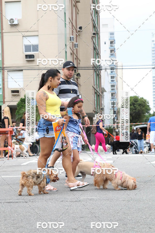 Buy your photos of the event13� C�ominhada - Santos on Fotop