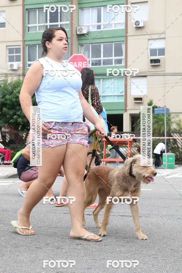 Buy your photos of the event13� C�ominhada - Santos on Fotop