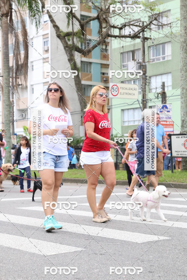 Buy your photos of the event13� C�ominhada - Santos on Fotop