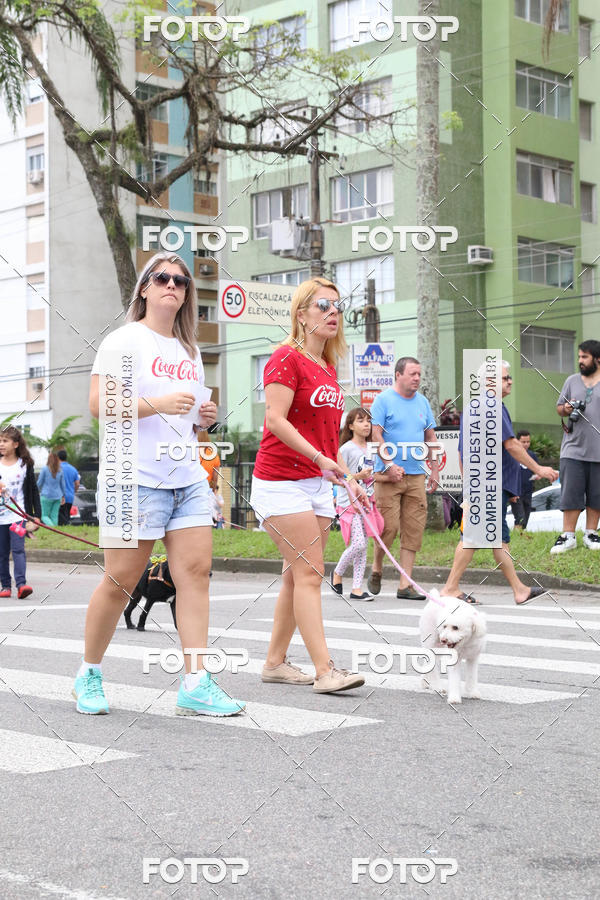 Buy your photos of the event13� C�ominhada - Santos on Fotop