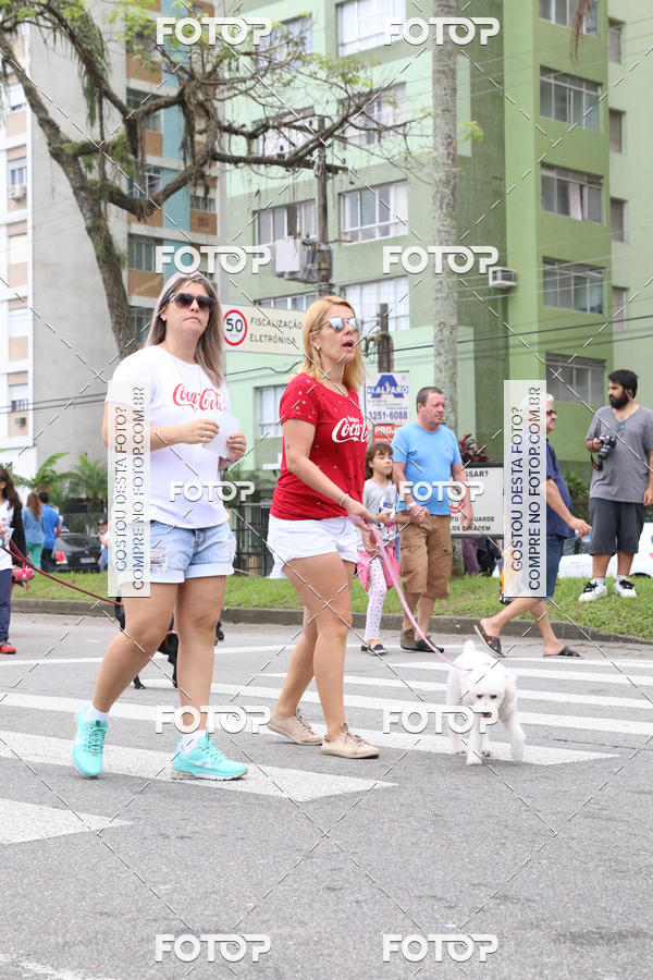 Buy your photos of the event13� C�ominhada - Santos on Fotop