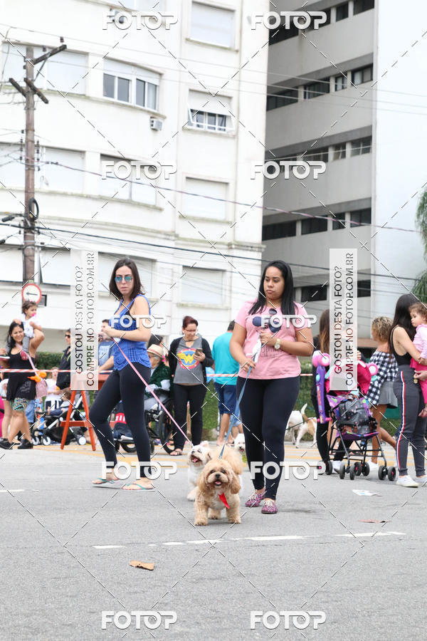 Buy your photos of the event13� C�ominhada - Santos on Fotop