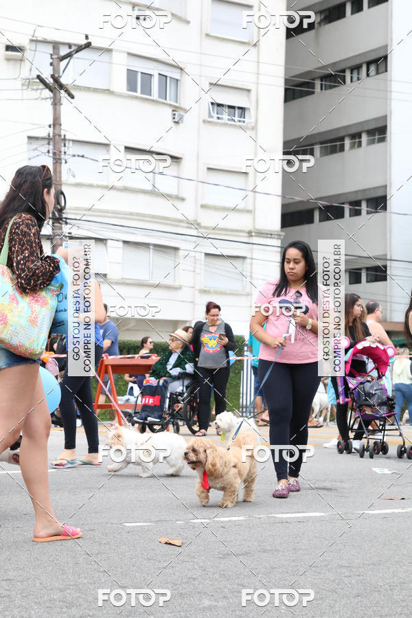 Buy your photos of the event13� C�ominhada - Santos on Fotop