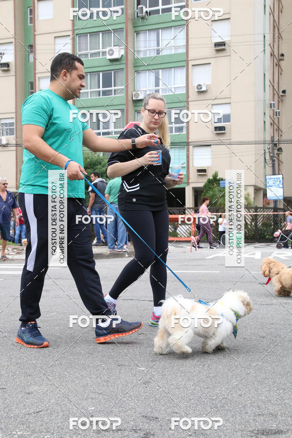 Buy your photos of the event13� C�ominhada - Santos on Fotop