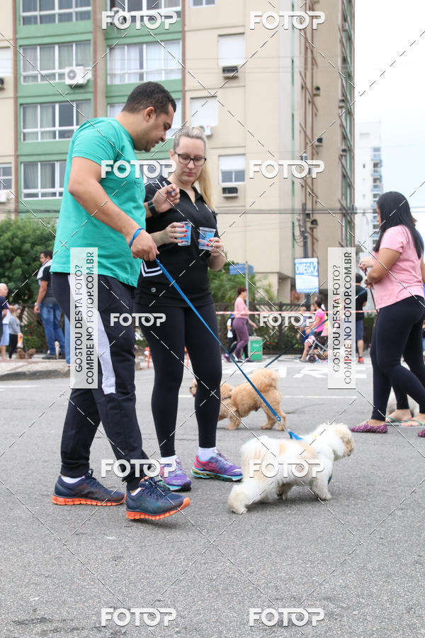 Buy your photos of the event13� C�ominhada - Santos on Fotop