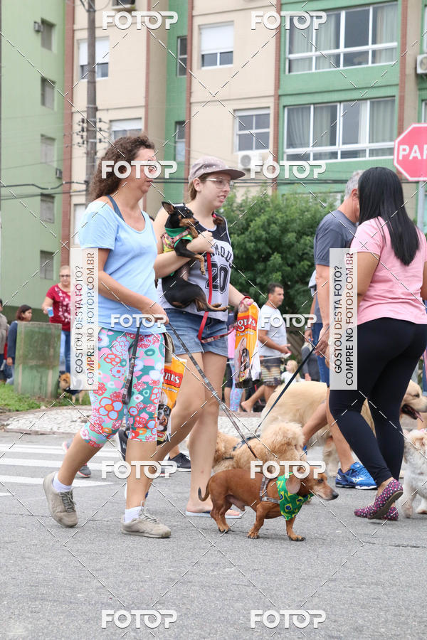 Buy your photos of the event13� C�ominhada - Santos on Fotop