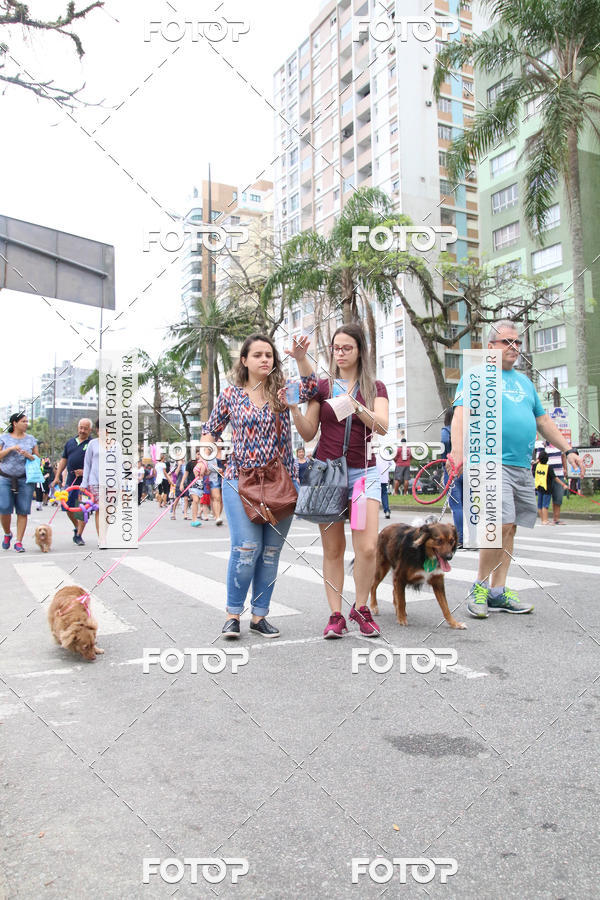 Buy your photos of the event13� C�ominhada - Santos on Fotop