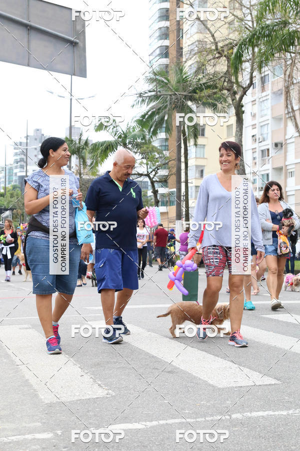 Buy your photos of the event13� C�ominhada - Santos on Fotop