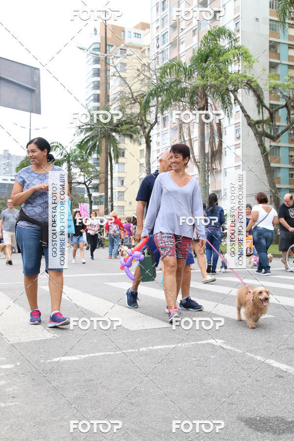 Buy your photos of the event13� C�ominhada - Santos on Fotop