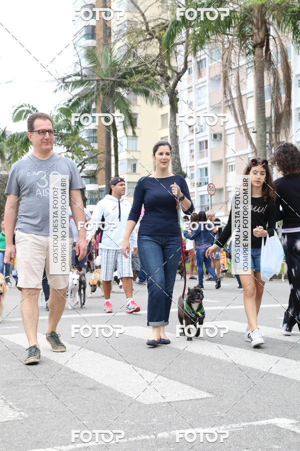 Buy your photos of the event13� C�ominhada - Santos on Fotop