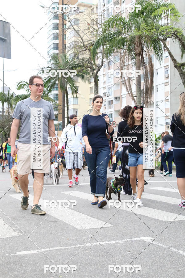 Buy your photos of the event13� C�ominhada - Santos on Fotop