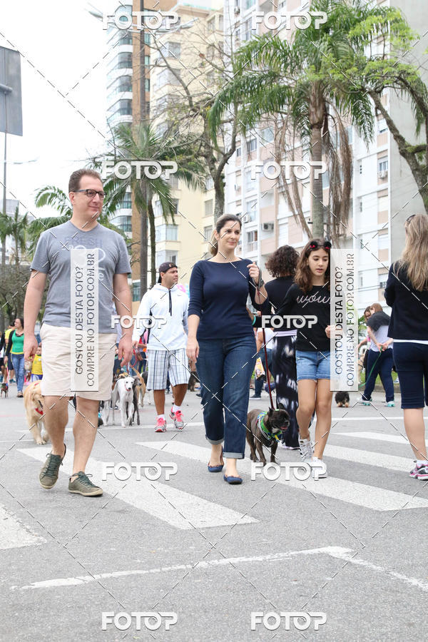 Buy your photos of the event13� C�ominhada - Santos on Fotop