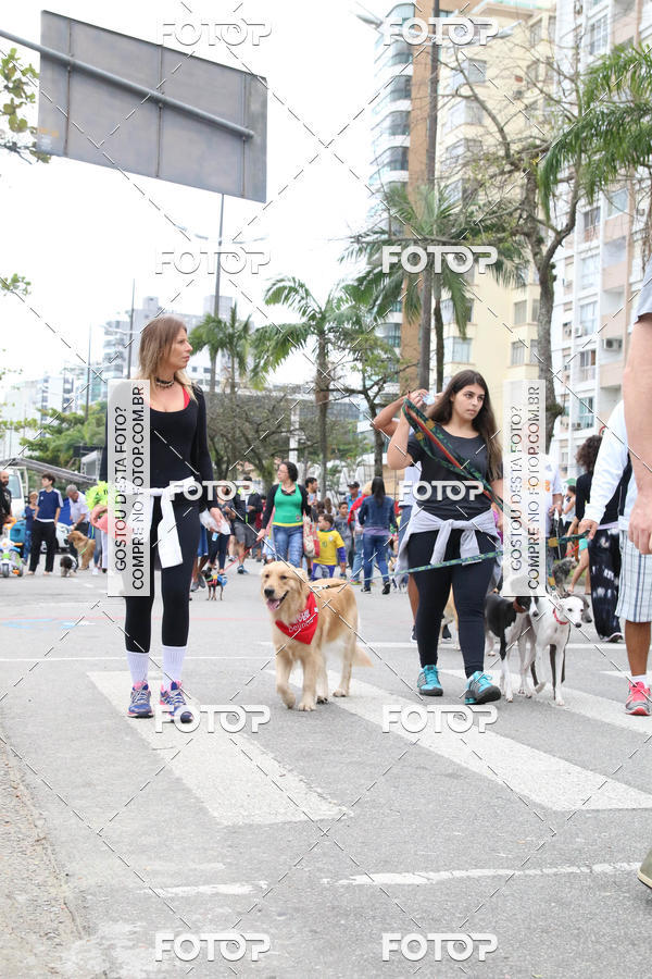 Buy your photos of the event13� C�ominhada - Santos on Fotop