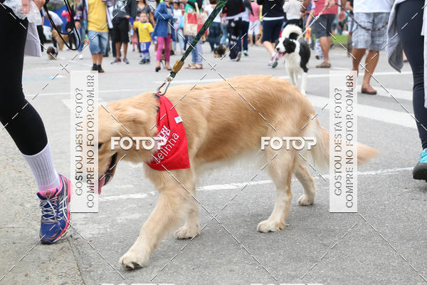 Buy your photos of the event13� C�ominhada - Santos on Fotop