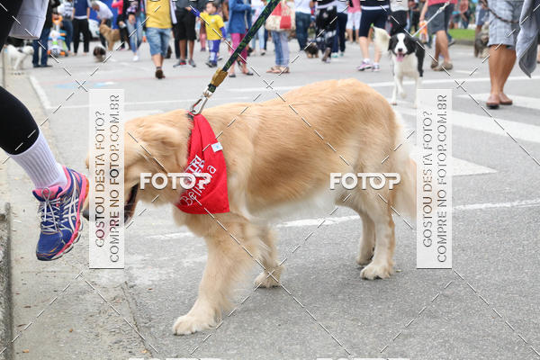 Buy your photos of the event13� C�ominhada - Santos on Fotop