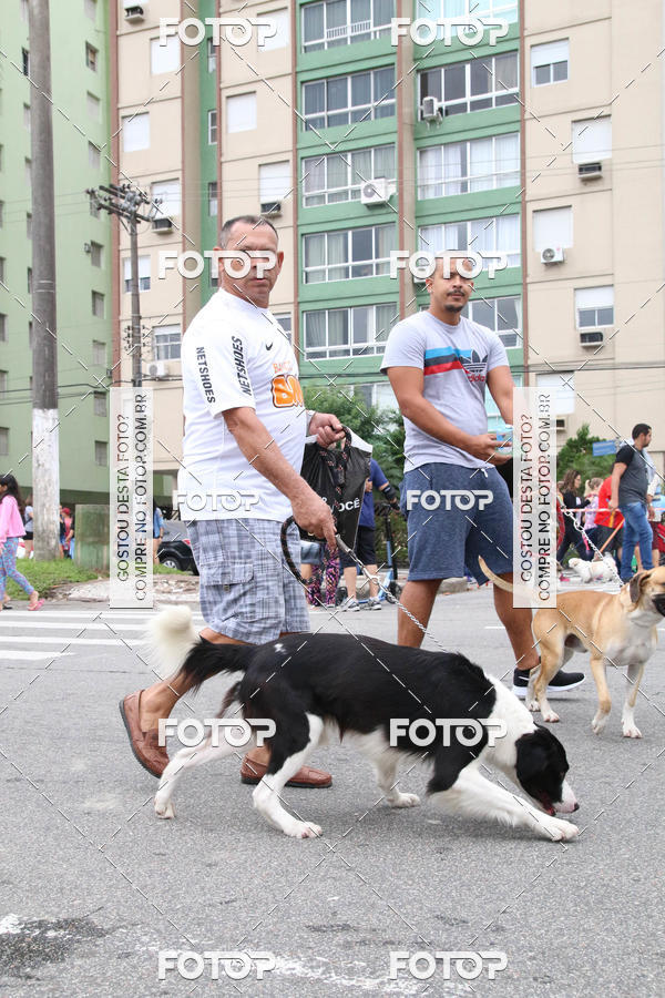 Buy your photos of the event13� C�ominhada - Santos on Fotop