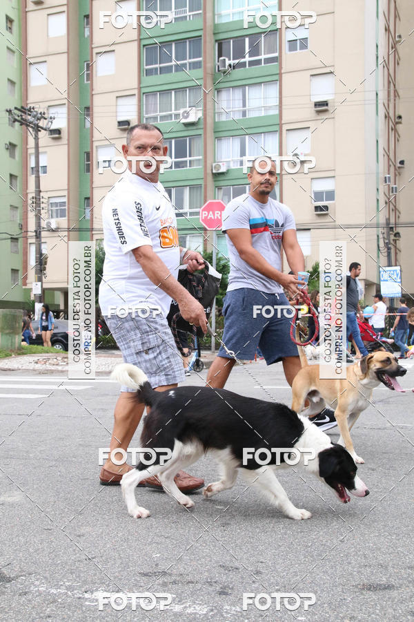 Buy your photos of the event13� C�ominhada - Santos on Fotop