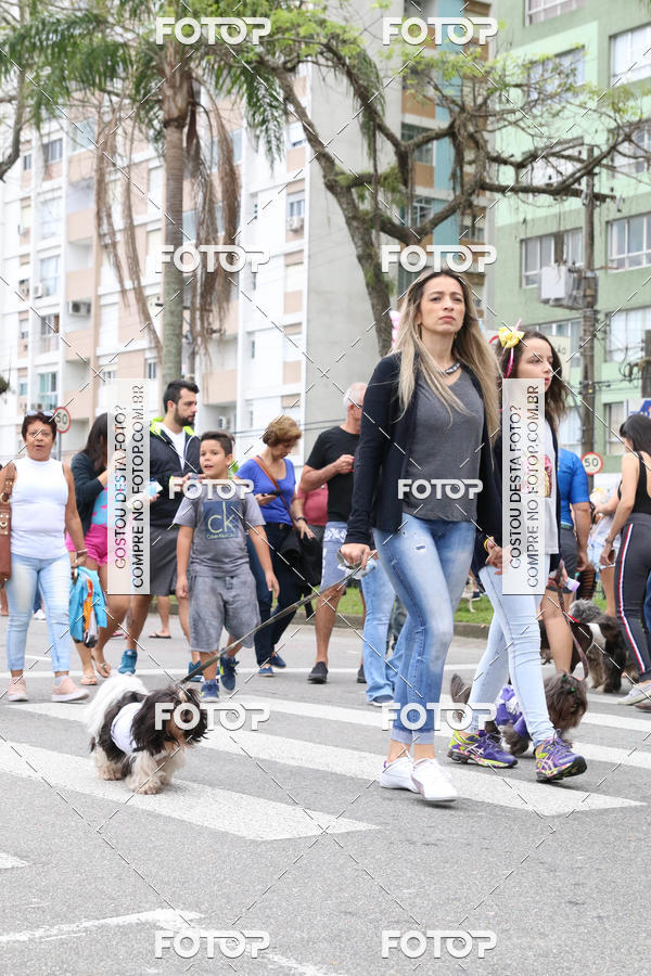 Buy your photos of the event13� C�ominhada - Santos on Fotop