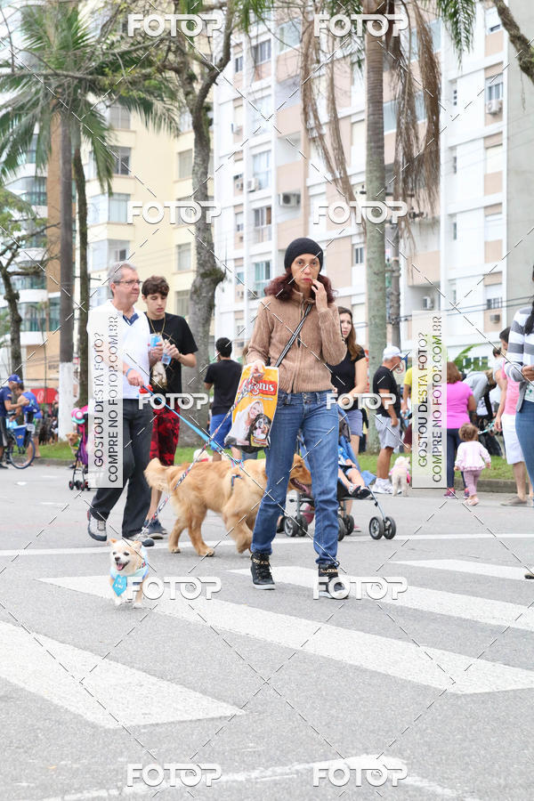 Buy your photos of the event13� C�ominhada - Santos on Fotop