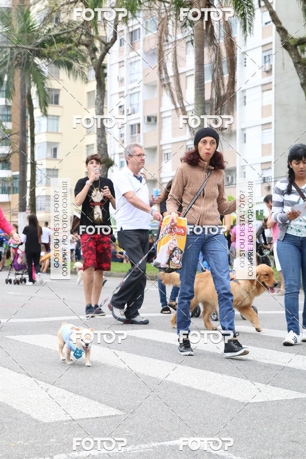 Buy your photos of the event13� C�ominhada - Santos on Fotop