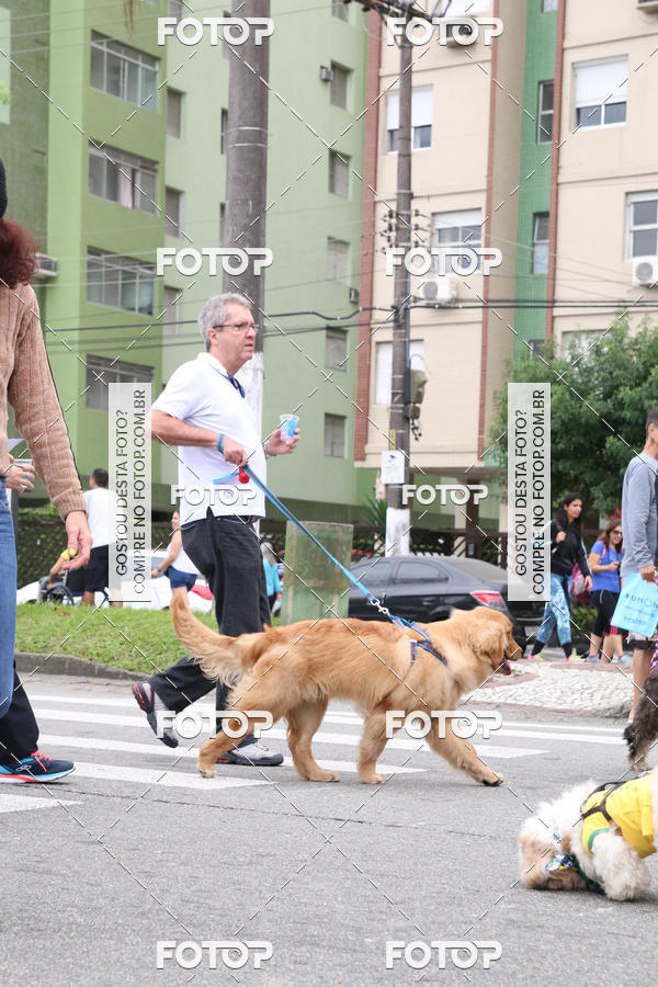 Buy your photos of the event13� C�ominhada - Santos on Fotop