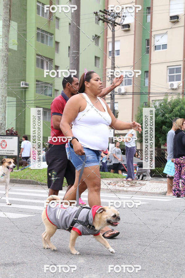 Buy your photos of the event13� C�ominhada - Santos on Fotop