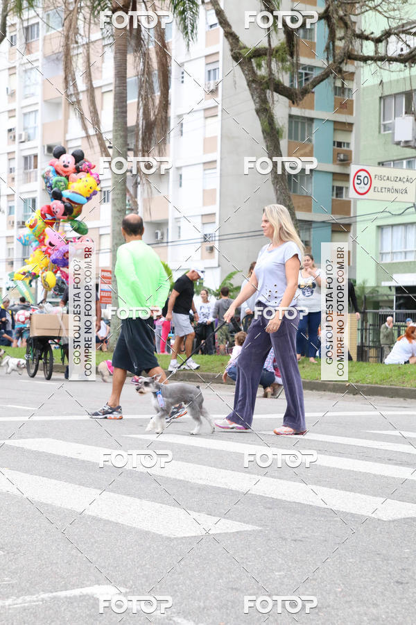 Buy your photos of the event13� C�ominhada - Santos on Fotop