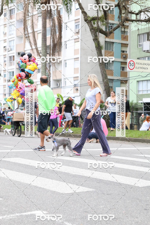 Buy your photos of the event13� C�ominhada - Santos on Fotop