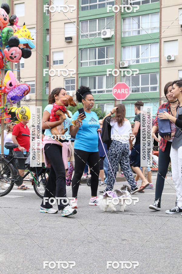 Buy your photos of the event13� C�ominhada - Santos on Fotop