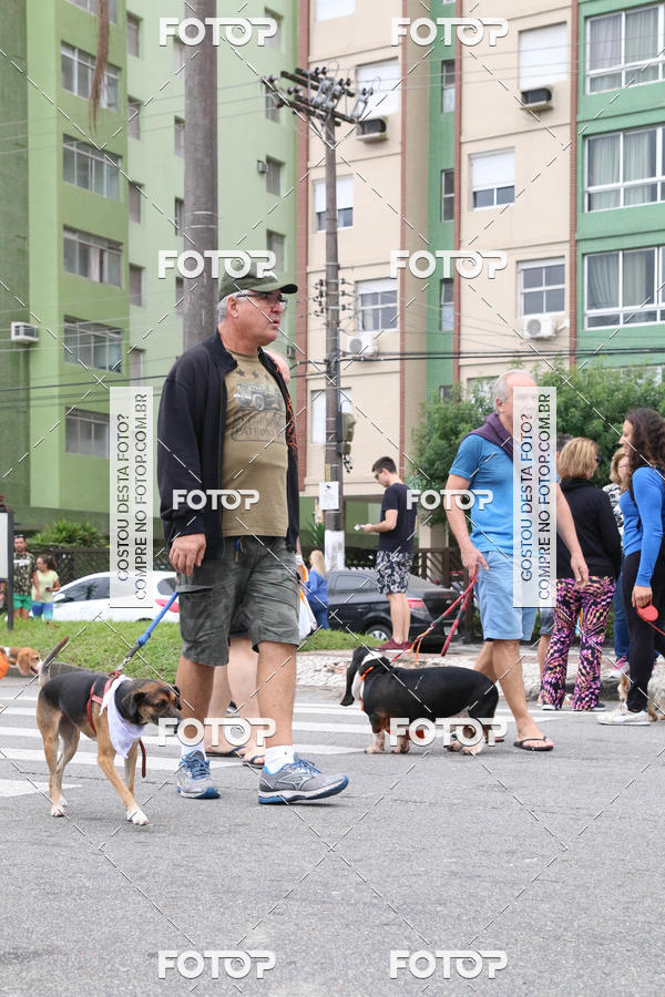 Buy your photos of the event13� C�ominhada - Santos on Fotop