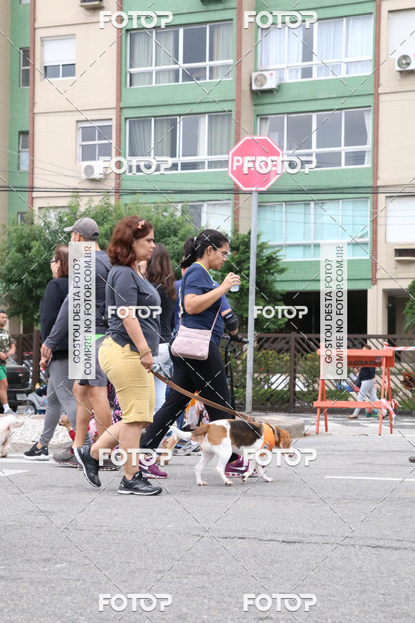 Buy your photos of the event13� C�ominhada - Santos on Fotop