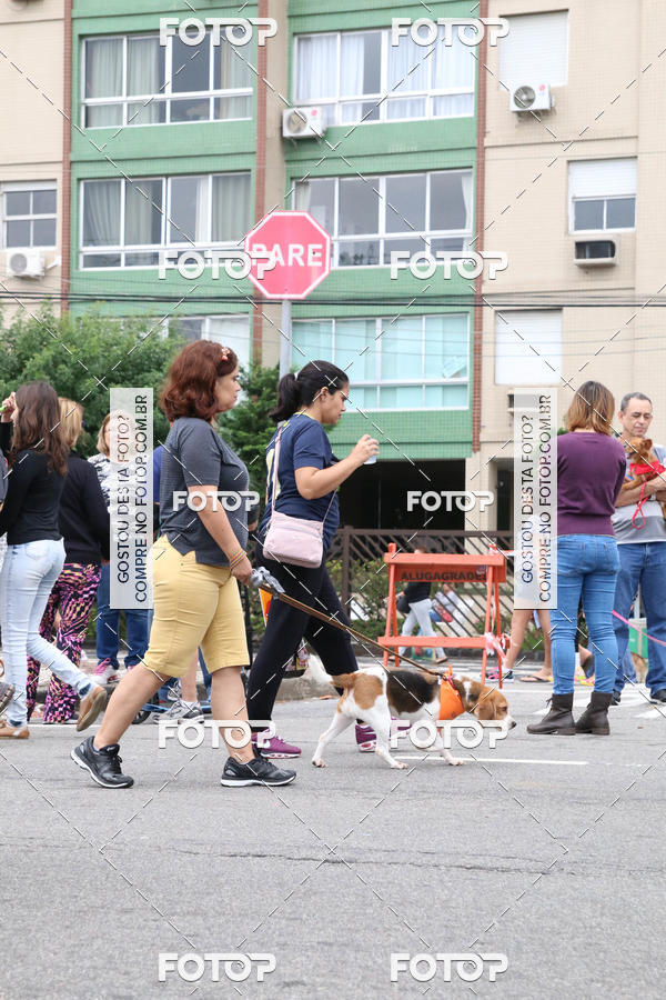 Buy your photos of the event13� C�ominhada - Santos on Fotop